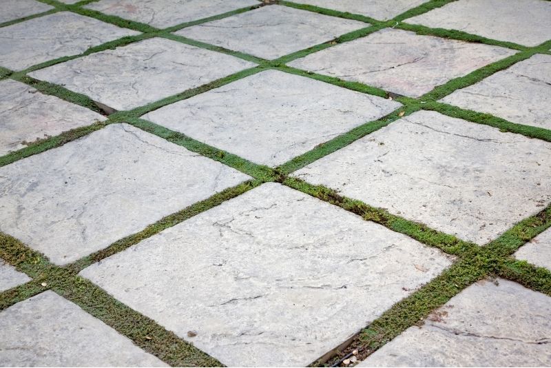 driveway and sidewalk replacement